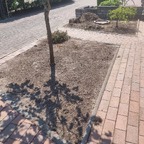Beetverschönerung